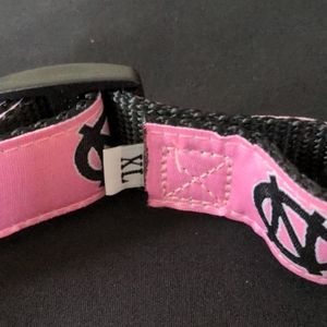 pink unc dog collar